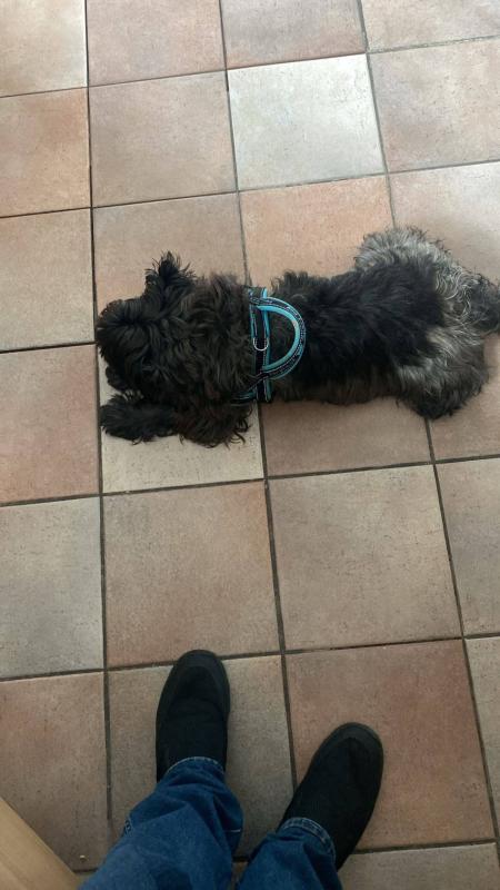 Max