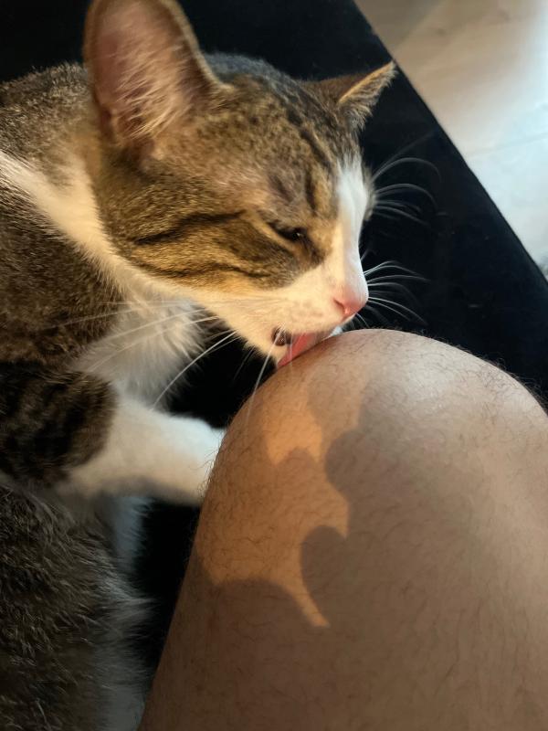 Carlos