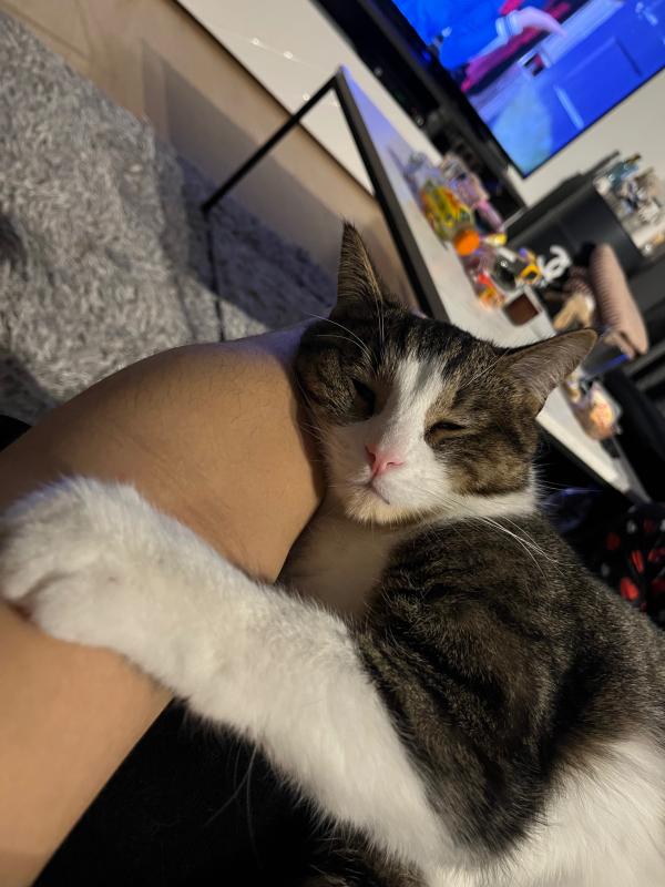 Carlos