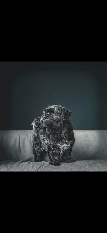 Marley