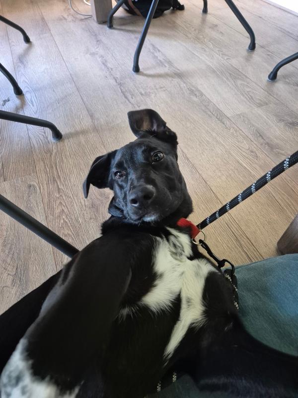 Skye