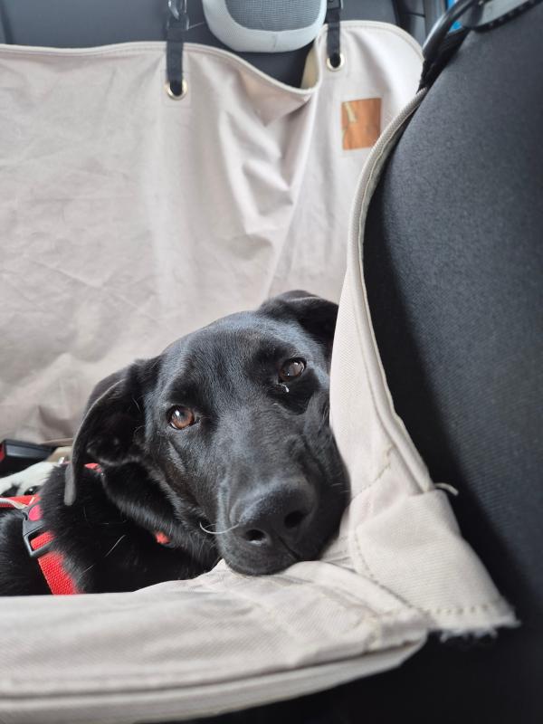 Skye