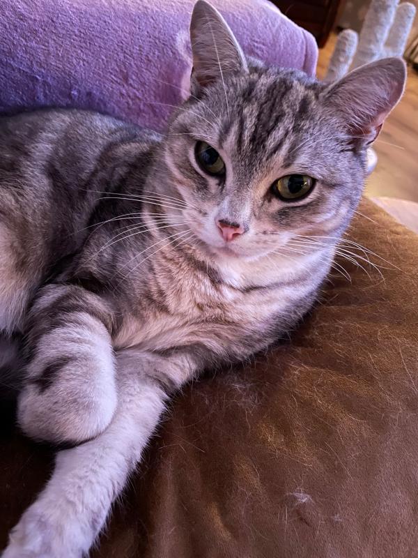 Loetje