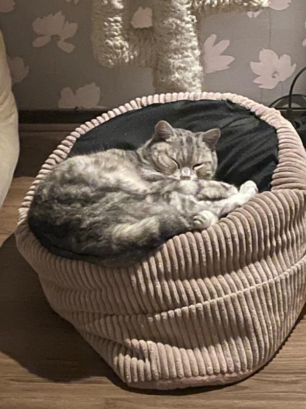 Loetje