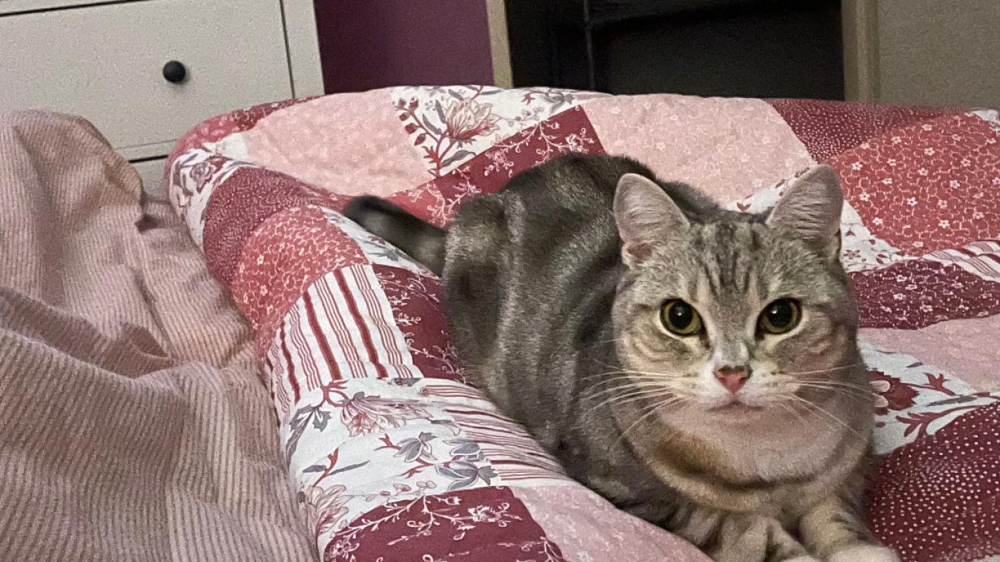 Loetje