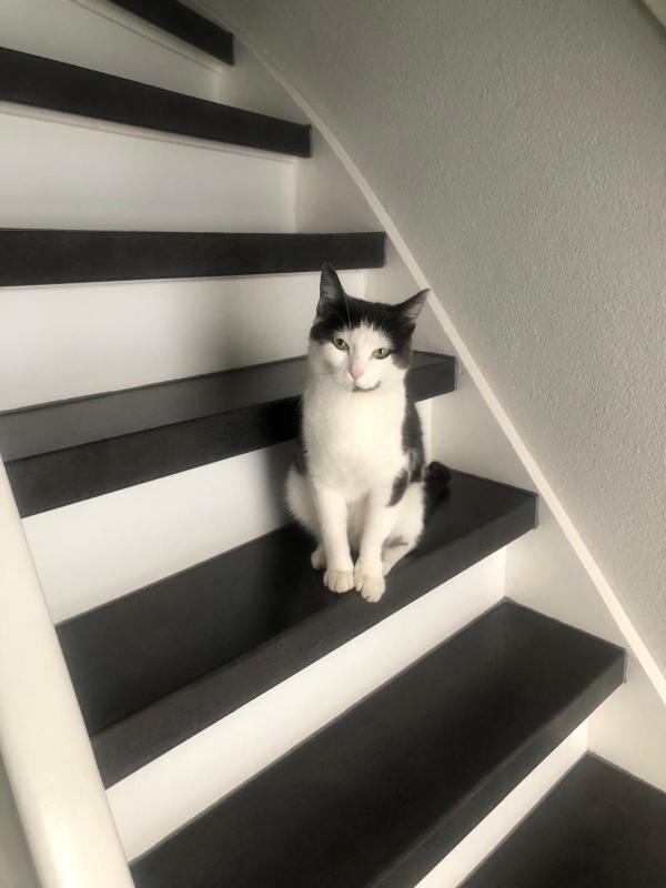 Mollie
