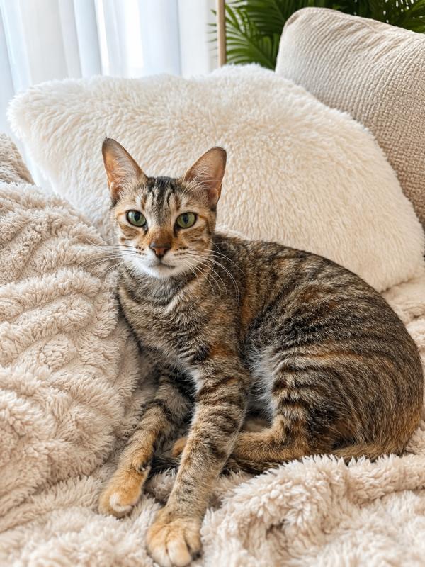 Mimi