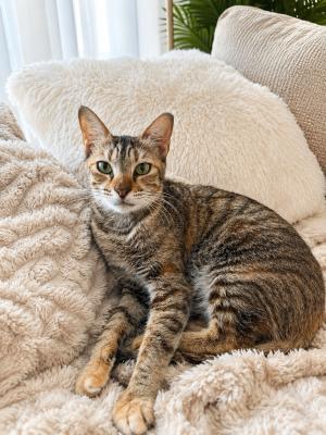 Mimi