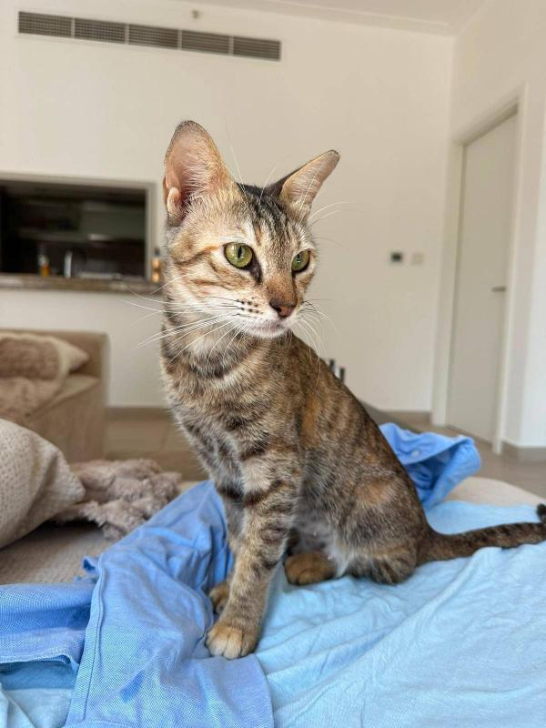 Mimi