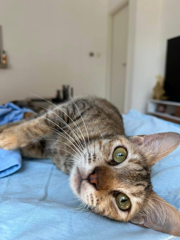 Mimi