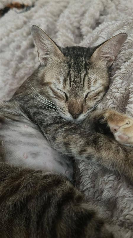 Mimi