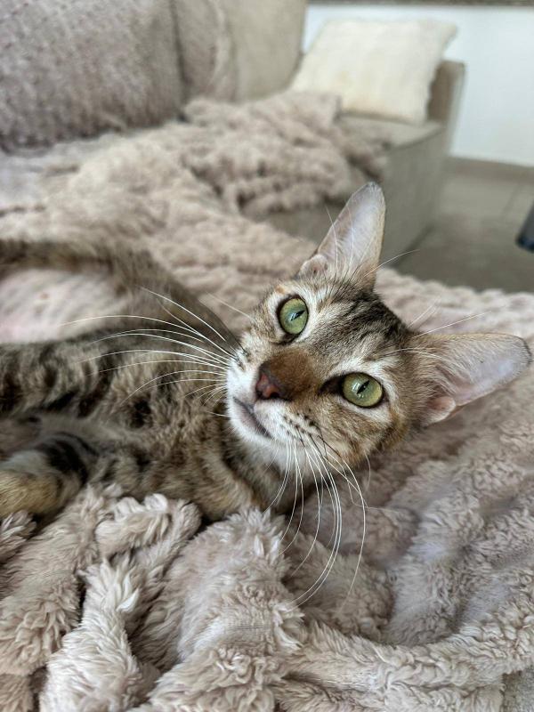 Mimi