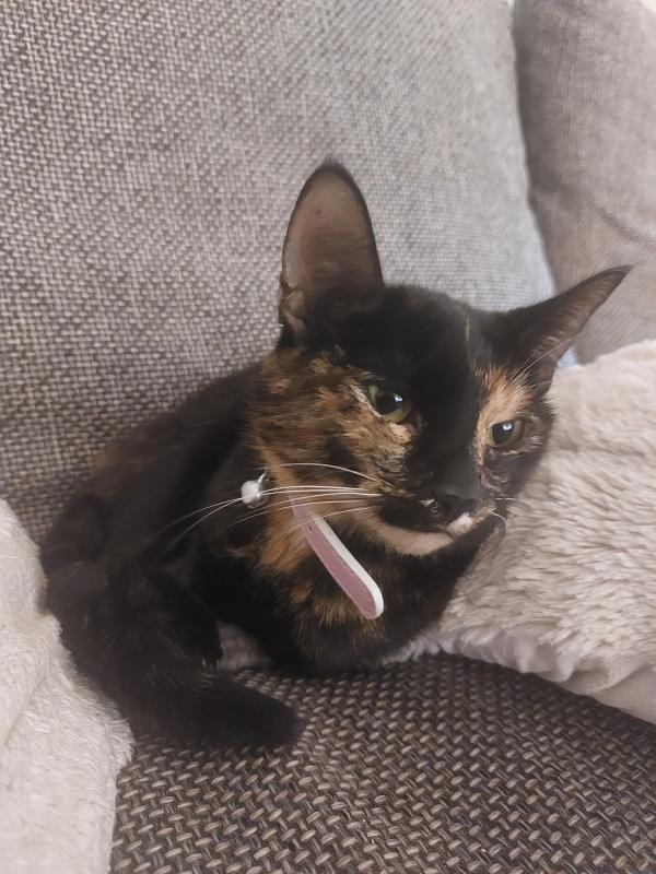 Luna