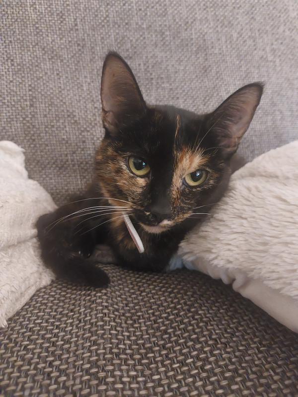 Luna