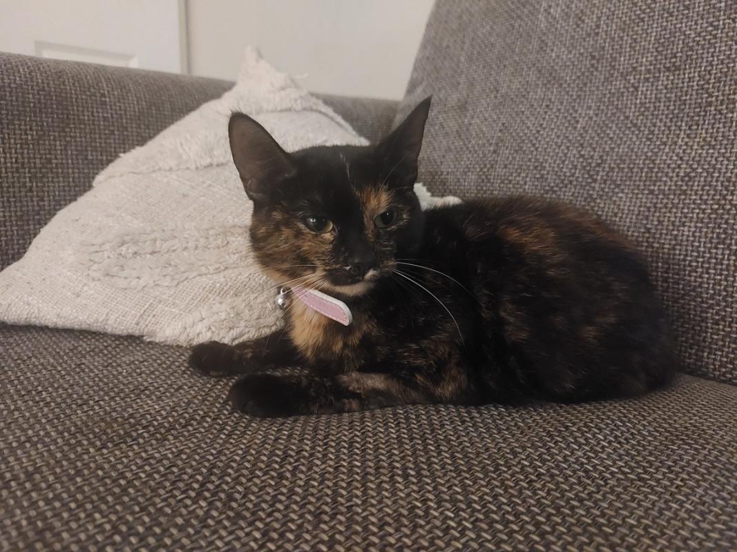 Luna