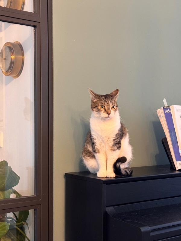 Ella