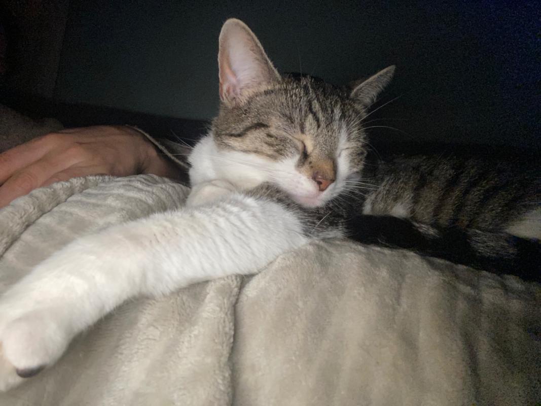 Ella