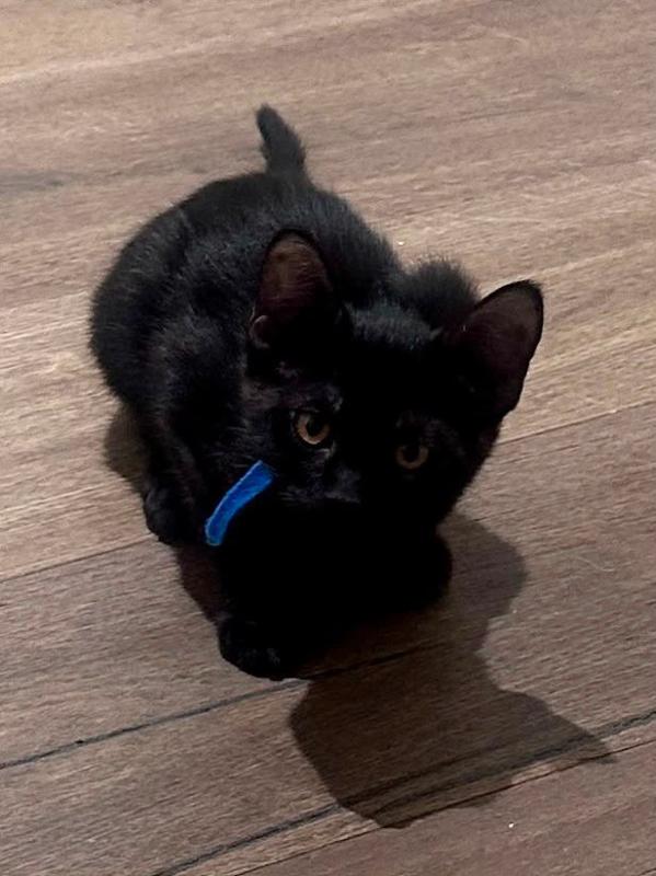 Leo