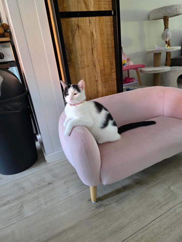 Nala