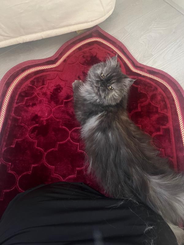 Nina