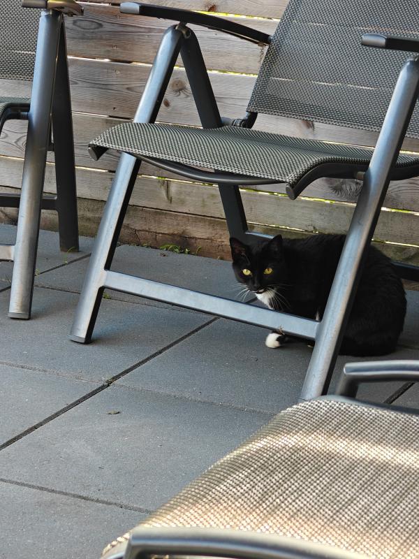 *SPOED* Lilly