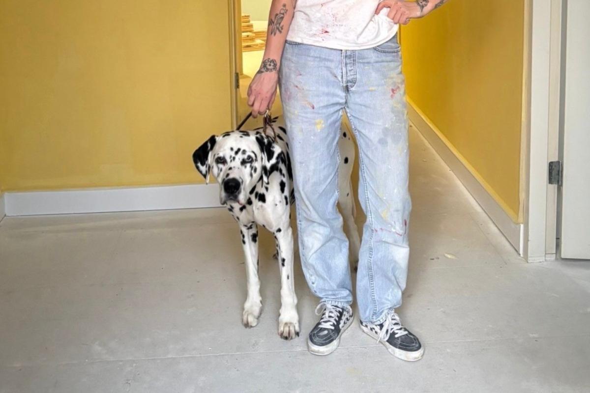 Bowie