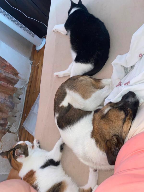 Lilo