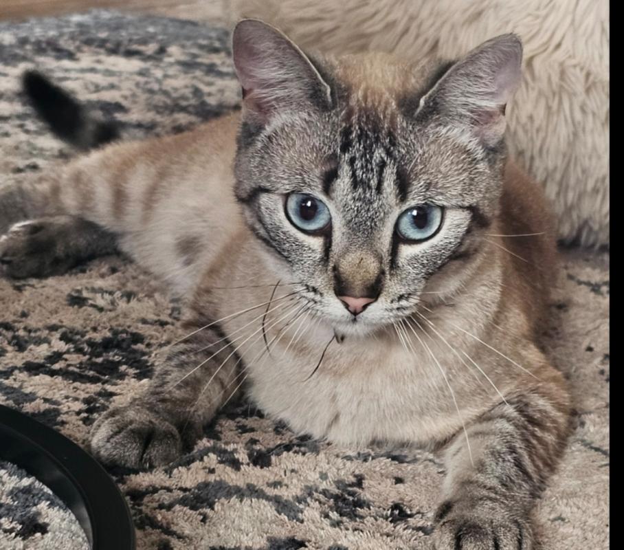 Nala