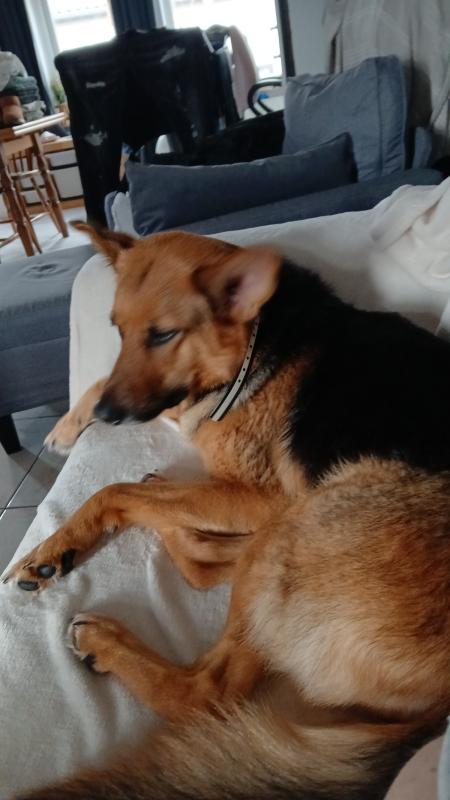 Lotje