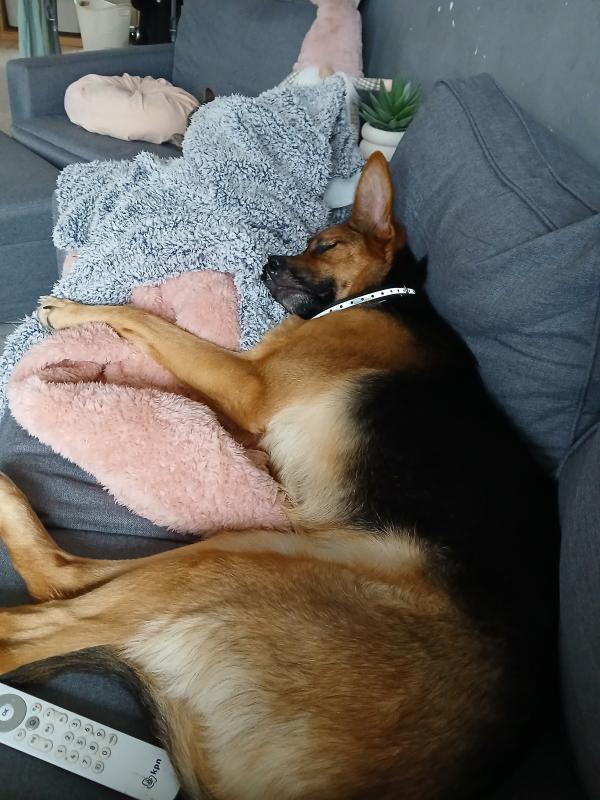 Lotje