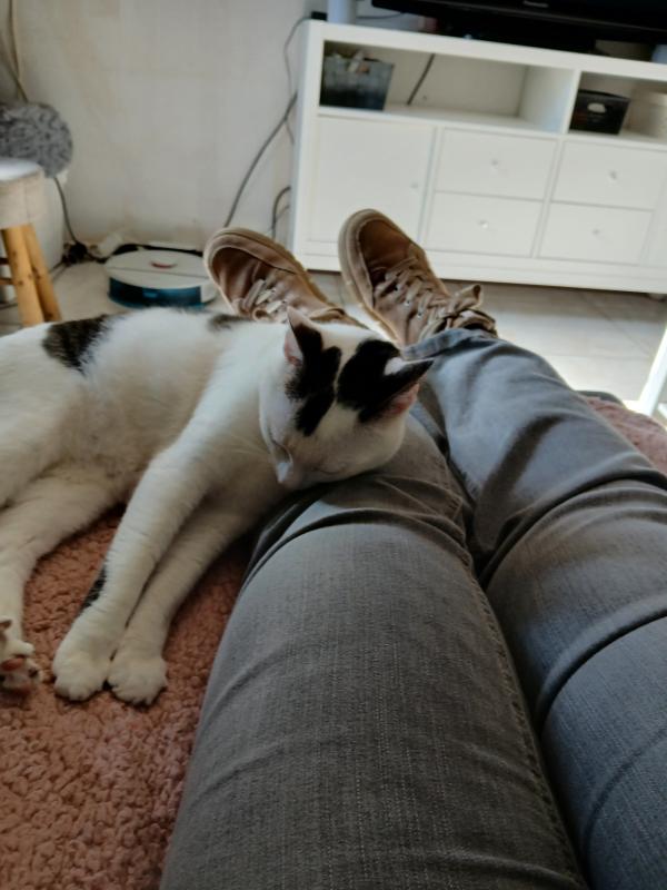 Puk