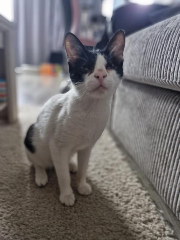 Max