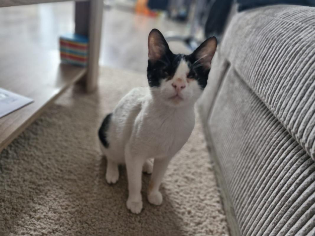 Max