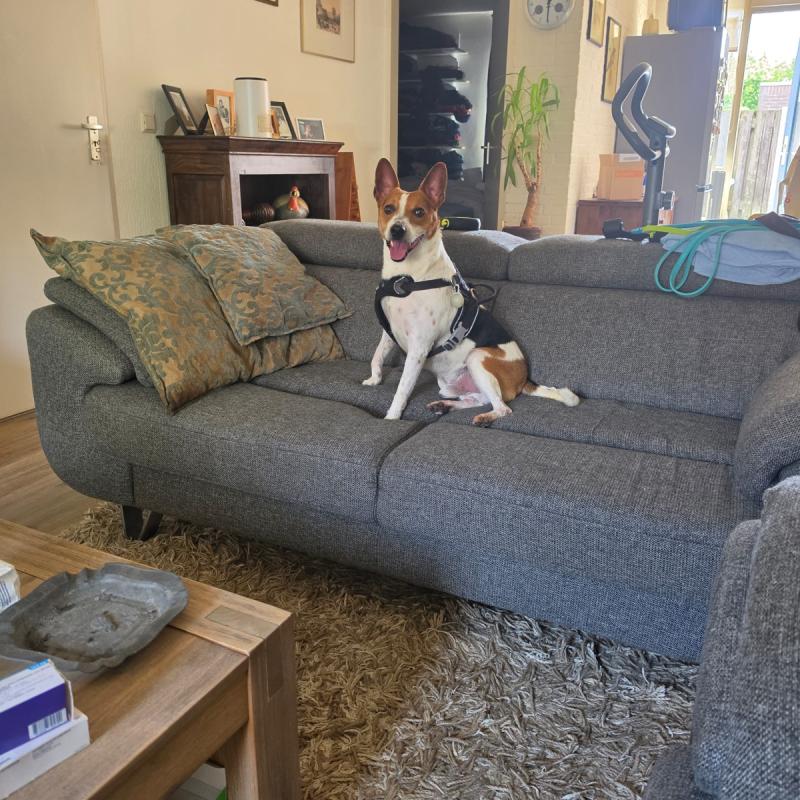 Max