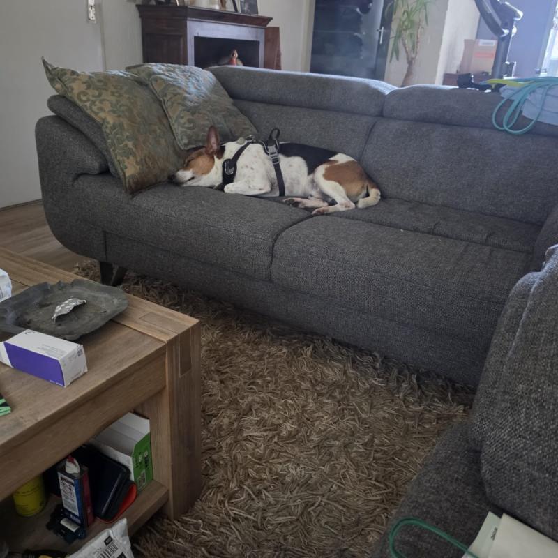 Max