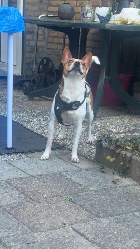 Max