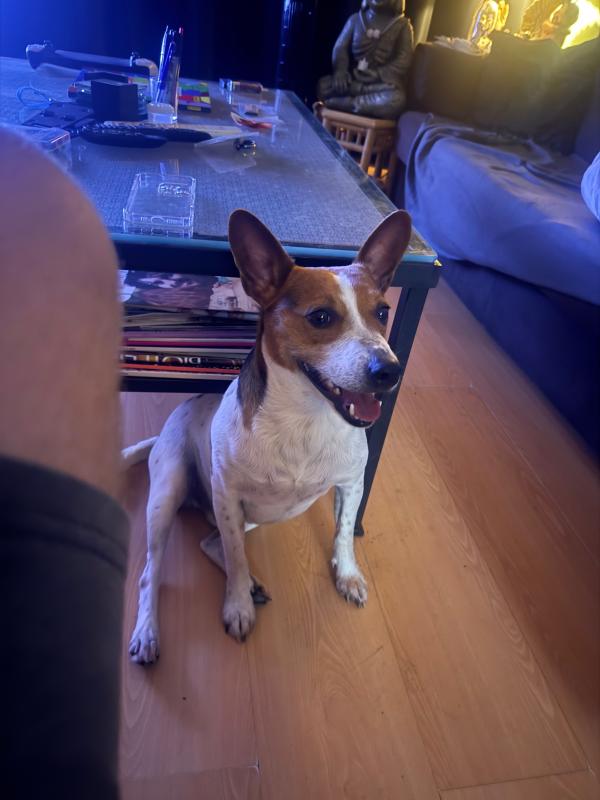 Max