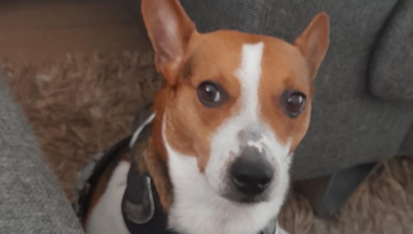 Max