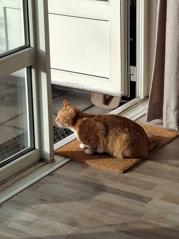 Kees de Kater