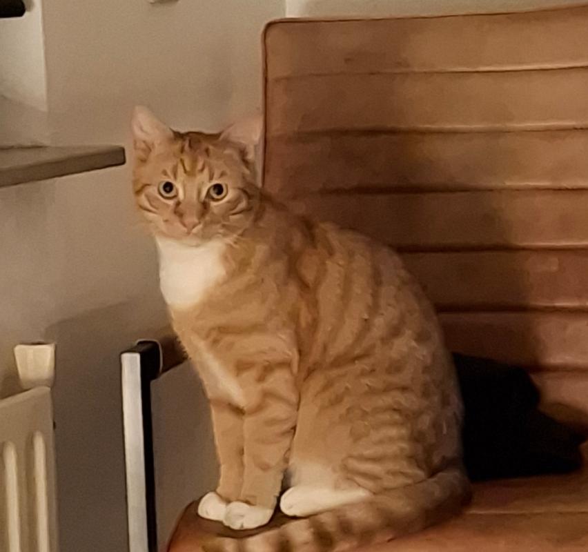 Kees de Kater