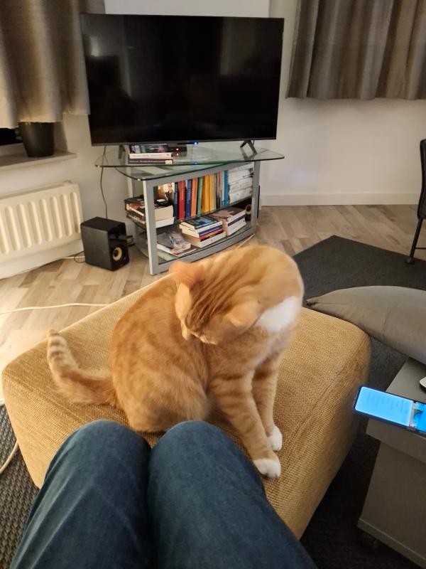 Kees de Kater