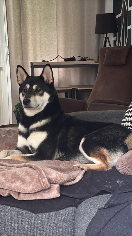 Skye