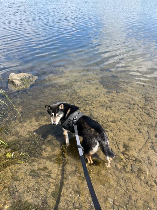 Skye