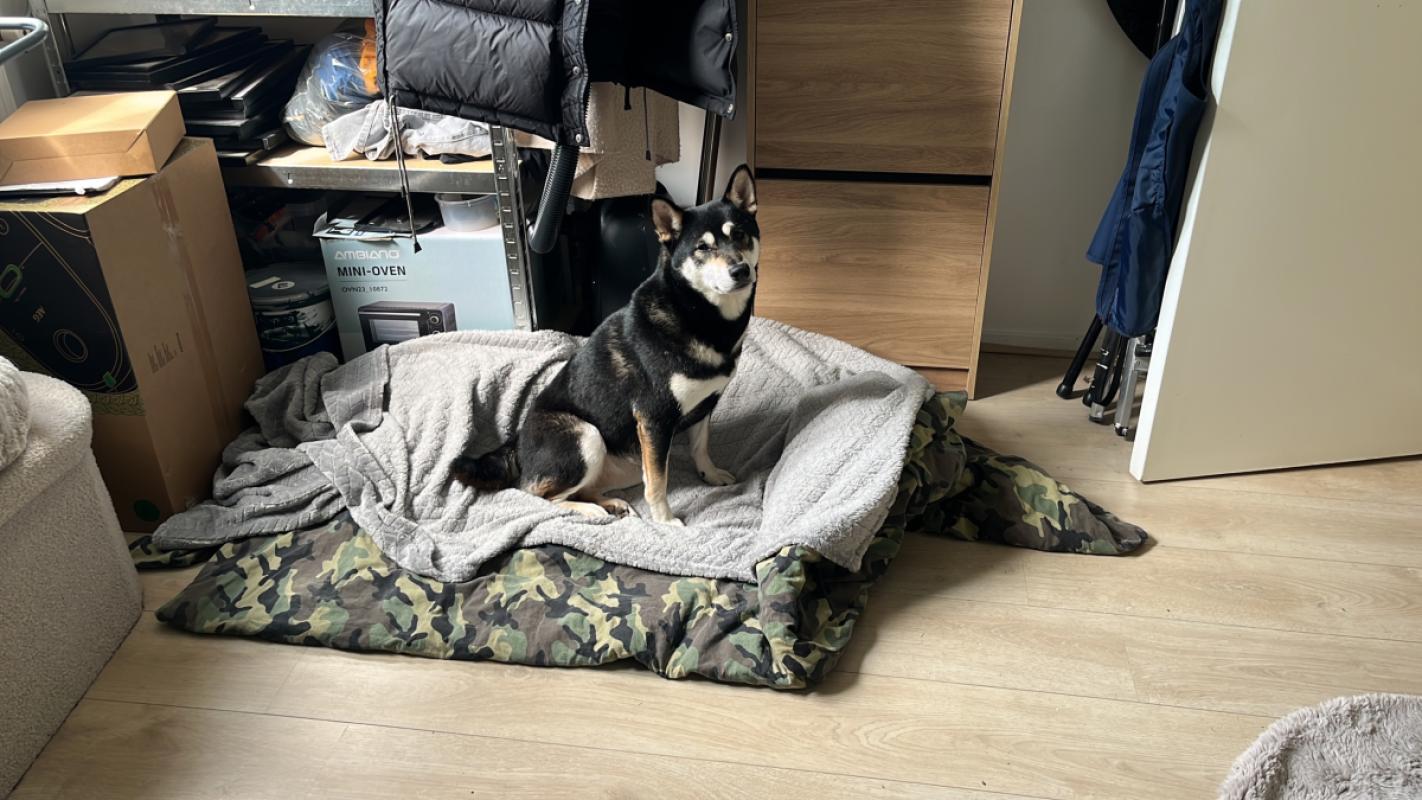 Skye
