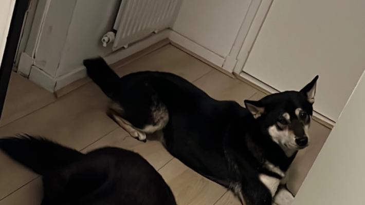 Skye