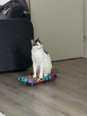 Jerry