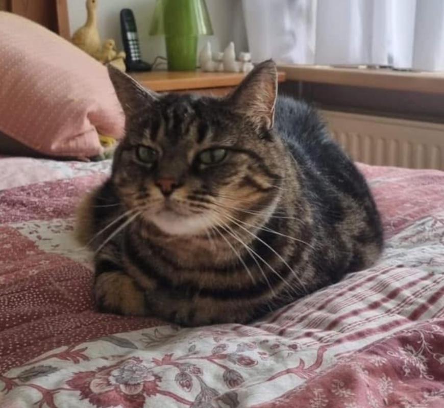 Kiki