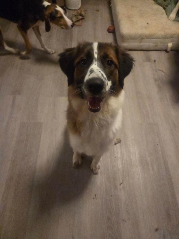 Suzie