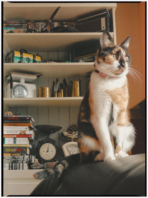 Mimi