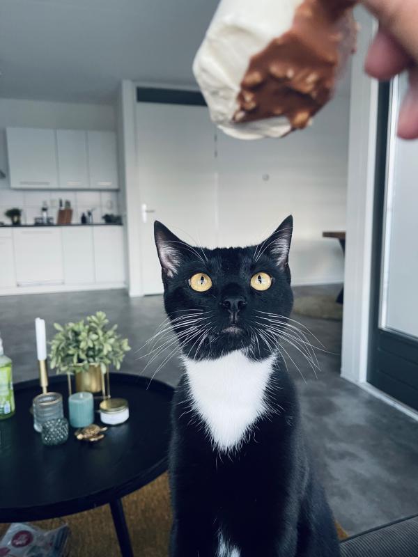 Matteo